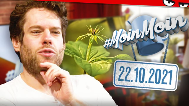 Blume des Jahres & die vielleicht leerste Website der Welt | MoinMoin mit Florentin