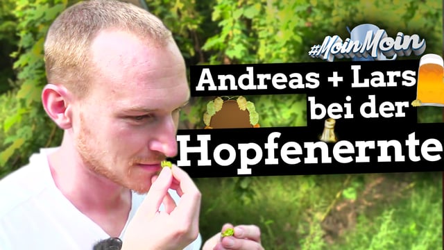 Ranklotzen bei der Hopfenernte von Bitburger | MoinMoin mit Andreas & Lars